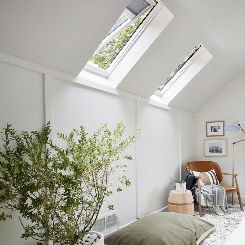 Velux Skylights